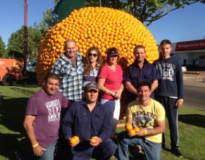 2013 Citrus Sculptures